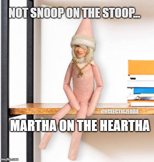 NOT SNOOP ON THE STOOP... MARTHA ON THE HEARTHA; @ECLECTICZEBRA | image tagged in funny | made w/ Imgflip meme maker