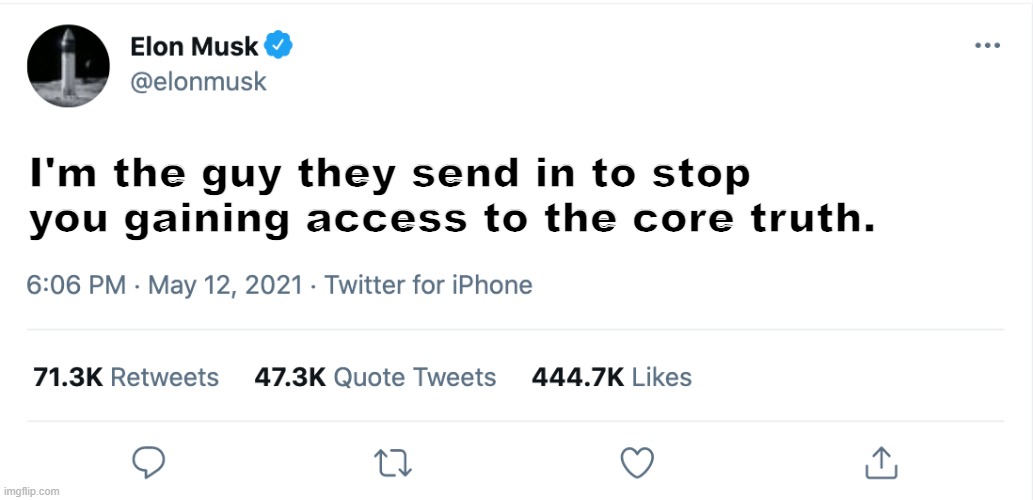 Elon Musk Blank Tweet | I'm the guy they send in to stop you gaining access to the core truth. | image tagged in elon musk blank tweet | made w/ Imgflip meme maker