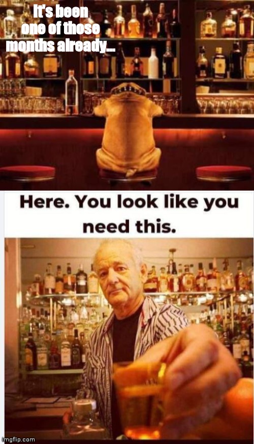 Dog needs a drink | It's been one of those months already... | image tagged in bill murray | made w/ Imgflip meme maker