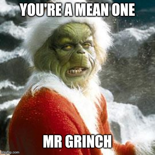 grinch | YOU'RE A MEAN ONE; MR GRINCH | image tagged in grinch | made w/ Imgflip meme maker