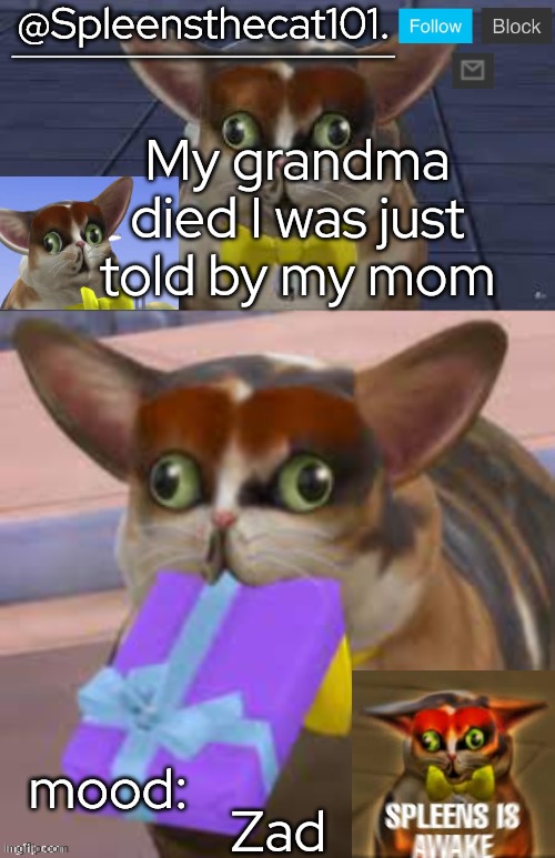 Sad | My grandma died I was just told by my mom; Zad | image tagged in spleensthecat101 | made w/ Imgflip meme maker