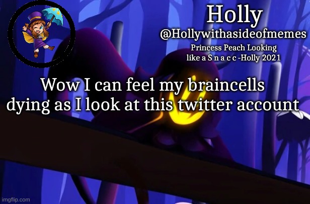 Holly Snatcher Template | Wow I can feel my braincells dying as I look at this twitter account | image tagged in holly snatcher template | made w/ Imgflip meme maker