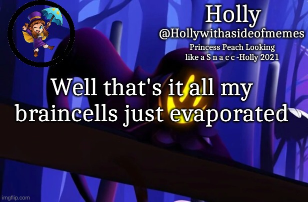 Holly Snatcher Template | Well that's it all my braincells just evaporated | image tagged in holly snatcher template | made w/ Imgflip meme maker