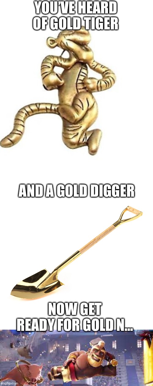 Gold | YOU’VE HEARD OF GOLD TIGER; AND A GOLD DIGGER; NOW GET READY FOR GOLD N… | image tagged in gold | made w/ Imgflip meme maker