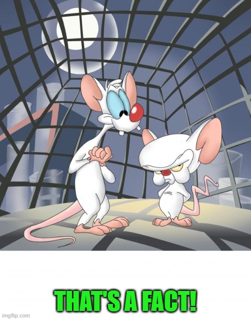 Pinky and the brain | THAT'S A FACT! | image tagged in pinky and the brain | made w/ Imgflip meme maker