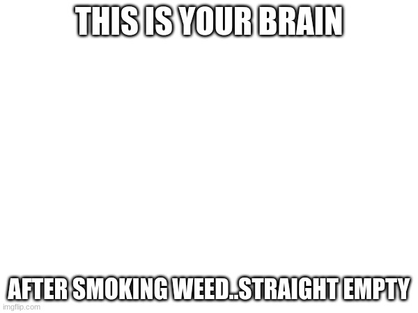 THIS IS YOUR BRAIN; AFTER SMOKING WEED..STRAIGHT EMPTY | made w/ Imgflip meme maker