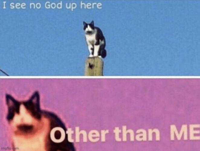 I see no god up here other than me | image tagged in i see no god up here other than me | made w/ Imgflip meme maker