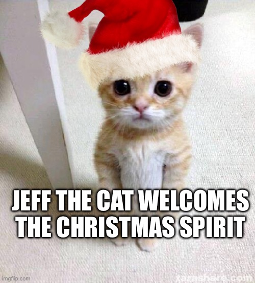 Jeff the cat | JEFF THE CAT WELCOMES THE CHRISTMAS SPIRIT | image tagged in christmas | made w/ Imgflip meme maker