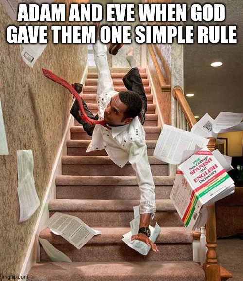 Falling down the stairs | ADAM AND EVE WHEN GOD GAVE THEM ONE SIMPLE RULE | image tagged in falling down the stairs | made w/ Imgflip meme maker