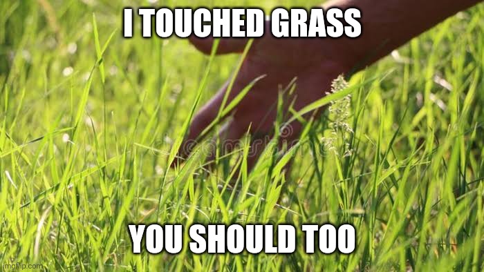 Grass | I TOUCHED GRASS; YOU SHOULD TOO | image tagged in gaming | made w/ Imgflip meme maker