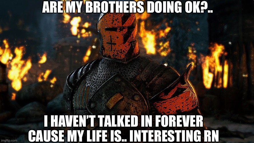 Are you guys? | ARE MY BROTHERS DOING OK?.. I HAVEN’T TALKED IN FOREVER CAUSE MY LIFE IS.. INTERESTING RN | image tagged in dramatic cutscene crusader | made w/ Imgflip meme maker