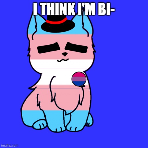Yea sooo | I THINK I'M BI- | image tagged in bisexual,cat,lgbt,transgender,you have been eternally cursed for reading the tags | made w/ Imgflip meme maker