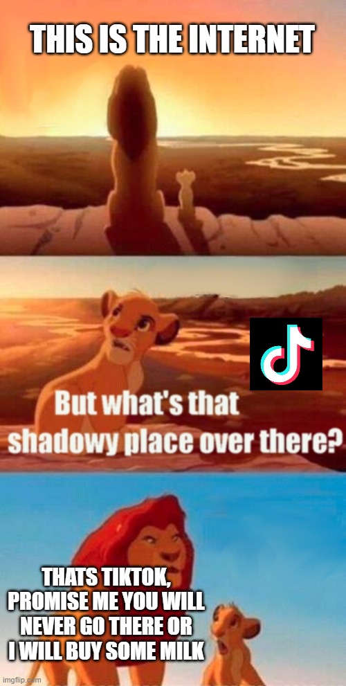 tiktok is trash | THIS IS THE INTERNET; THATS TIKTOK, PROMISE ME YOU WILL NEVER GO THERE OR I WILL BUY SOME MILK | image tagged in memes,simba shadowy place | made w/ Imgflip meme maker