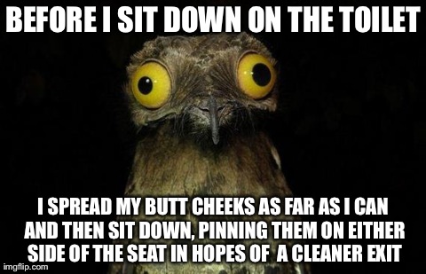 Weird Stuff I Do Potoo | BEFORE I SIT DOWN ON THE TOILET I SPREAD MY BUTT CHEEKS AS FAR AS I CAN AND THEN SIT DOWN, PINNING THEM ON EITHER SIDE OF THE SEAT IN HOPES  | image tagged in memes,weird stuff i do potoo,AdviceAnimals | made w/ Imgflip meme maker