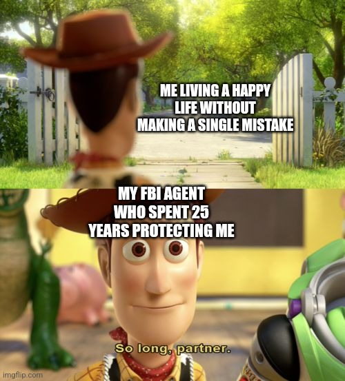 :,) | ME LIVING A HAPPY LIFE WITHOUT MAKING A SINGLE MISTAKE; MY FBI AGENT WHO SPENT 25 YEARS PROTECTING ME | image tagged in so long partner | made w/ Imgflip meme maker