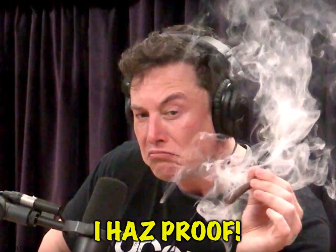 Elon Musk Weed | I HAZ PROOF! | image tagged in elon musk weed | made w/ Imgflip meme maker