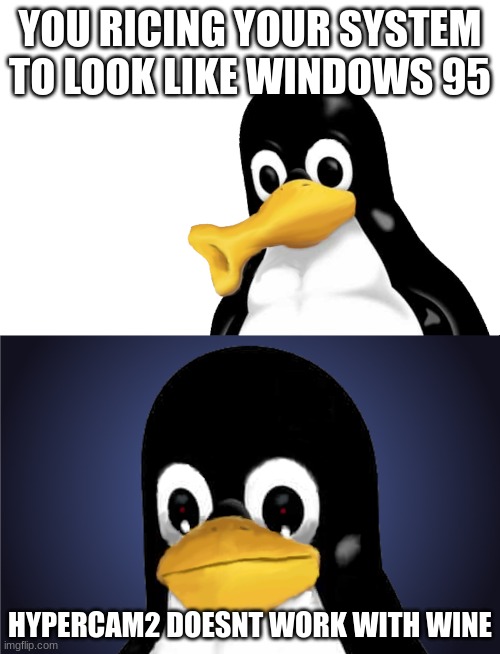bruuh | YOU RICING YOUR SYSTEM TO LOOK LIKE WINDOWS 95; HYPERCAM2 DOESNT WORK WITH WINE | image tagged in linux,wine,linux wine,programming | made w/ Imgflip meme maker