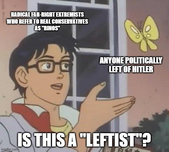 Most of the political spectrum looks "far-left" to a far-right extremist who doesn't realize they're a far-right extremist. | RADICAL FAR-RIGHT EXTREMISTS
WHO REFER TO REAL CONSERVATIVES
AS "RINOS"; ANYONE POLITICALLY LEFT OF HITLER; IS THIS A "LEFTIST"? | image tagged in memes,is this a pigeon,leftists,conservative logic,rino,extreme | made w/ Imgflip meme maker