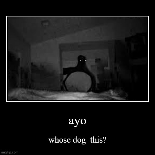 no sly whose dogs this | image tagged in another one of those cused img | made w/ Imgflip demotivational maker