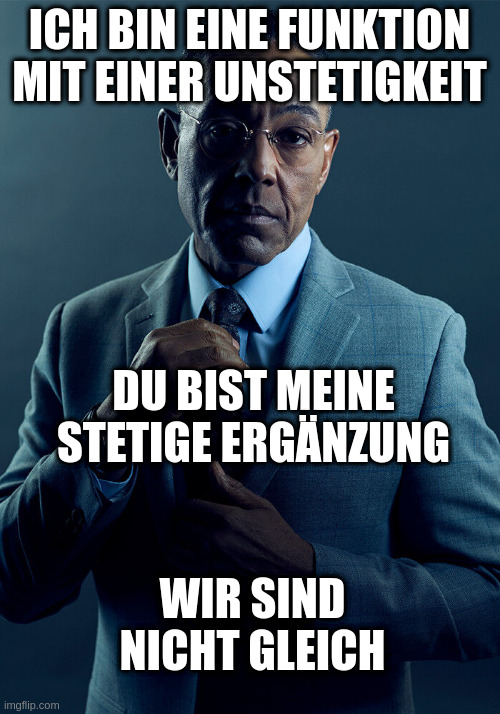 Gus Fring we are not the same | ICH BIN EINE FUNKTION MIT EINER UNSTETIGKEIT; DU BIST MEINE STETIGE ERGÄNZUNG; WIR SIND NICHT GLEICH | image tagged in gus fring we are not the same | made w/ Imgflip meme maker