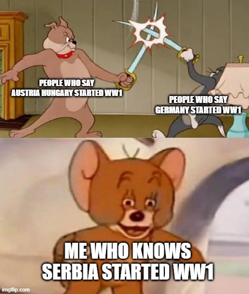 I mean im not wrong |  PEOPLE WHO SAY AUSTRIA HUNGARY STARTED WW1; PEOPLE WHO SAY GERMANY STARTED WW1; ME WHO KNOWS SERBIA STARTED WW1 | image tagged in tom and jerry swordfight,ww1 | made w/ Imgflip meme maker