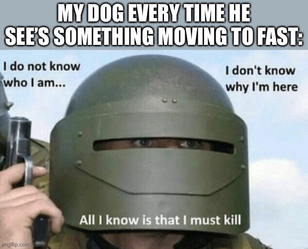What’s the dog doin? | MY DOG EVERY TIME HE SEE’S SOMETHING MOVING TO FAST: | image tagged in i don't know who i am i don't know why i'm here why i'm here,dog,memes,funny | made w/ Imgflip meme maker