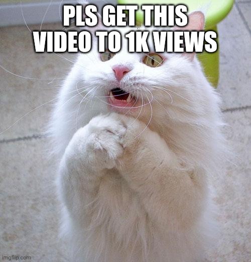 youtu.be/GHl-fgM5R1w | PLS GET THIS VIDEO TO 1K VIEWS | image tagged in begging cat | made w/ Imgflip meme maker