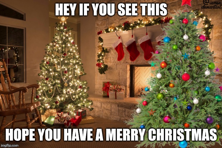 HEY IF YOU SEE THIS; HOPE YOU HAVE A MERRY CHRISTMAS | made w/ Imgflip meme maker