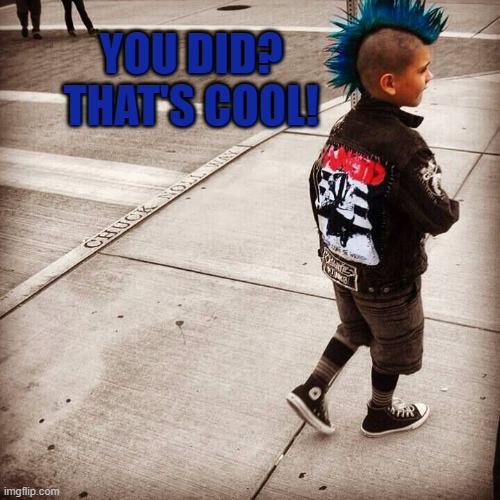 YOU DID? THAT'S COOL! | made w/ Imgflip meme maker