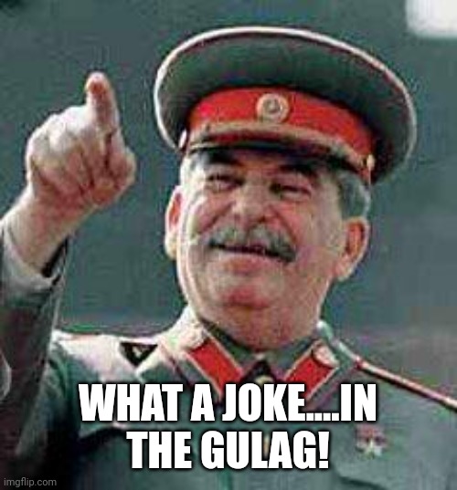 Stalin says | WHAT A JOKE....IN THE GULAG! | image tagged in stalin says | made w/ Imgflip meme maker