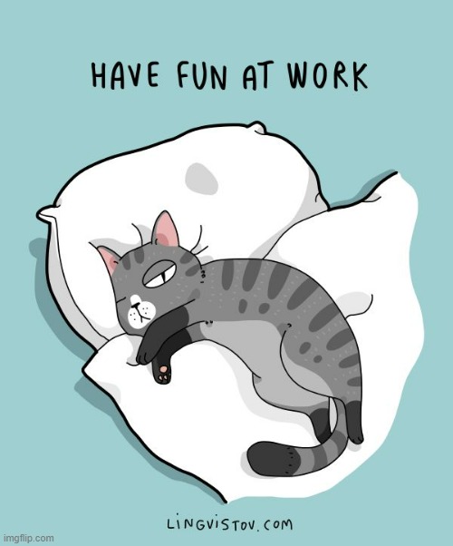 A Cat's Way Of Thinking | image tagged in memes,comics,cats,have fun,at work,trying to sleep | made w/ Imgflip meme maker