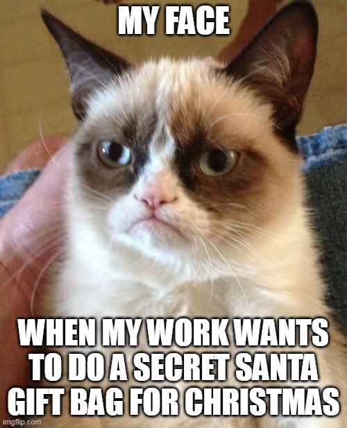 When my work wants to do a secret santa gift bag for christmas | MY FACE; WHEN MY WORK WANTS TO DO A SECRET SANTA GIFT BAG FOR CHRISTMAS | image tagged in memes,grumpy cat,funny,work,christmas,gift | made w/ Imgflip meme maker