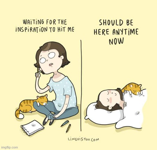image tagged in memes,comics,cats,cat lady,inspiration,yeah i've got time | made w/ Imgflip meme maker