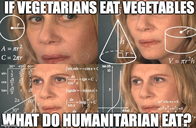 Calculating meme | IF VEGETARIANS EAT VEGETABLES; WHAT DO HUMANITARIAN EAT? | image tagged in calculating meme | made w/ Imgflip meme maker