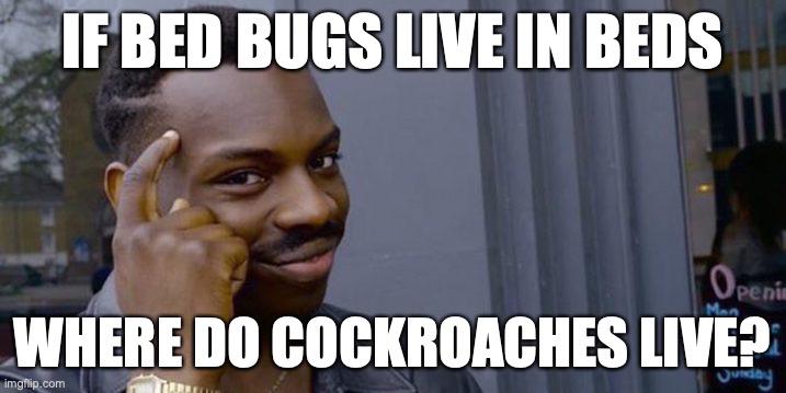 genuine question | IF BED BUGS LIVE IN BEDS; WHERE DO COCKROACHES LIVE? | image tagged in point to head | made w/ Imgflip meme maker