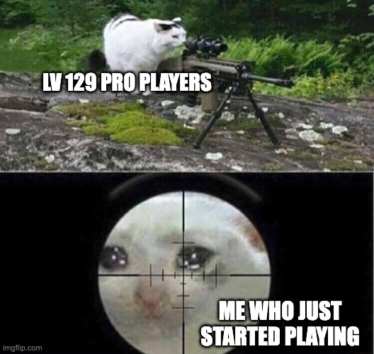 Sniper cat | LV 129 PRO PLAYERS; ME WHO JUST STARTED PLAYING | image tagged in sniper cat | made w/ Imgflip meme maker