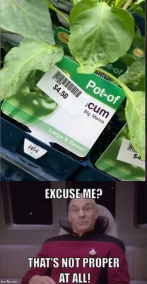 Big Mama's What? | image tagged in you had one job | made w/ Imgflip meme maker