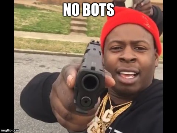 gun pointing meme | NO BOTS | image tagged in gun pointing meme | made w/ Imgflip meme maker