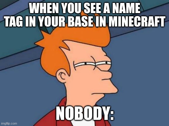 Futurama Fry | WHEN YOU SEE A NAME TAG IN YOUR BASE IN MINECRAFT; NOBODY: | image tagged in memes,futurama fry | made w/ Imgflip meme maker