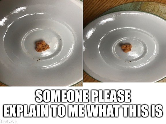 Found this in my Apple Jacks this morning | SOMEONE PLEASE EXPLAIN TO ME WHAT THIS IS | image tagged in cereal,wth | made w/ Imgflip meme maker