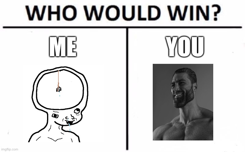 For It’sFunnehTemplater. | ME; YOU | image tagged in memes,who would win | made w/ Imgflip meme maker