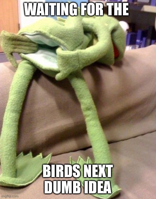 Kermit Bent Over  | WAITING FOR THE BIRDS NEXT DUMB IDEA | image tagged in kermit bent over | made w/ Imgflip meme maker