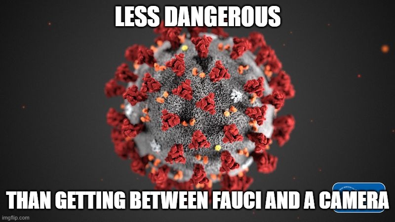 Covid 19 | LESS DANGEROUS THAN GETTING BETWEEN FAUCI AND A CAMERA | image tagged in covid 19 | made w/ Imgflip meme maker