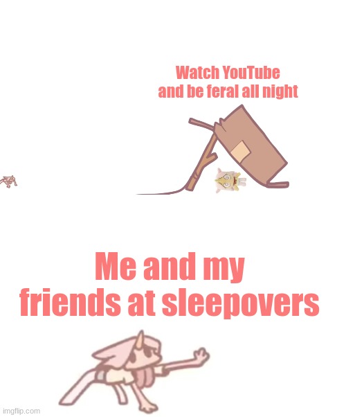 Heheee | Watch YouTube and be feral all night; Me and my friends at sleepovers | image tagged in i need x | made w/ Imgflip meme maker
