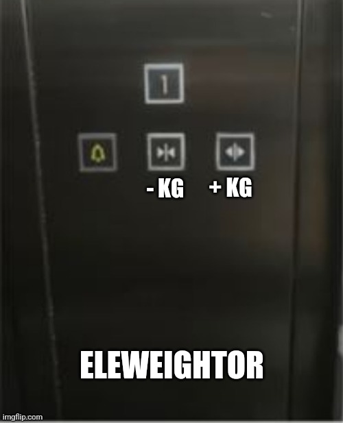 Ele-weight-or | + KG; - KG; ELEWEIGHTOR | image tagged in pointless,elevator | made w/ Imgflip meme maker