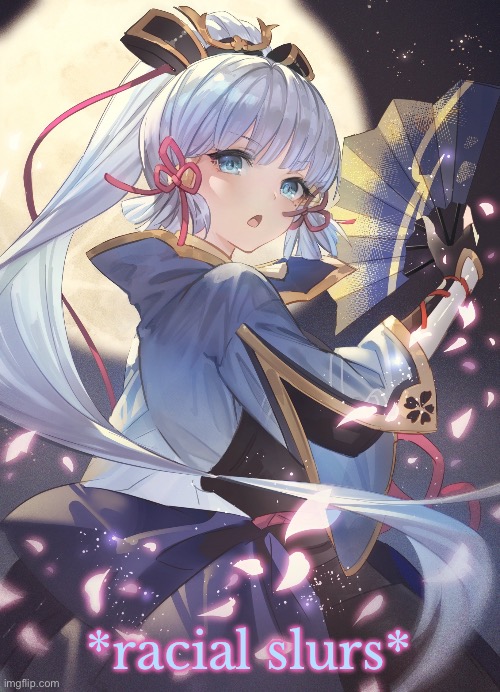 Kamisato Ayaka | *racial slurs* | image tagged in kamisato ayaka | made w/ Imgflip meme maker