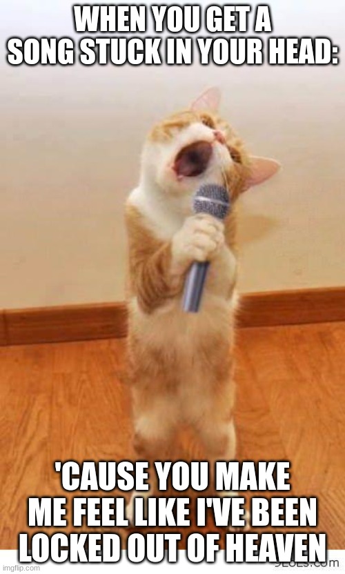 Cat Singer | WHEN YOU GET A SONG STUCK IN YOUR HEAD:; 'CAUSE YOU MAKE ME FEEL LIKE I'VE BEEN LOCKED OUT OF HEAVEN | image tagged in cat singer | made w/ Imgflip meme maker