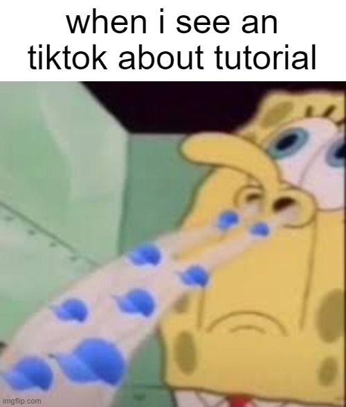 STOP DA CA- | when i see an tiktok about tutorial | image tagged in memes | made w/ Imgflip meme maker