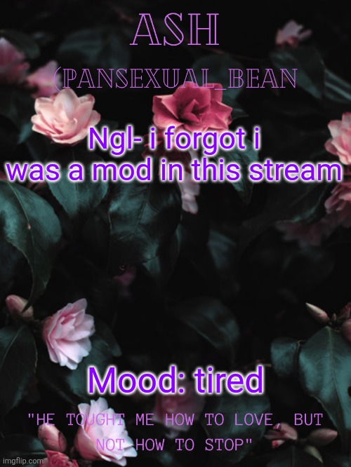 Oop | Ngl- i forgot i was a mod in this stream; Mood: tired | image tagged in ash's announcement template | made w/ Imgflip meme maker