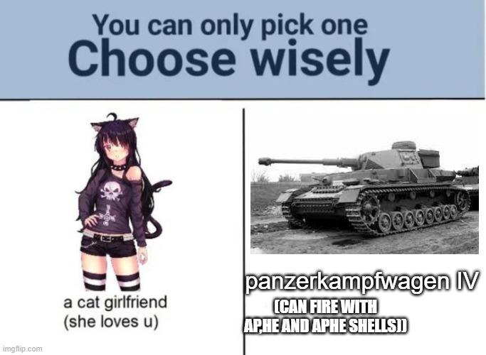 mine is panzer IV |  panzerkampfwagen IV; (CAN FIRE WITH AP,HE AND APHE SHELLS)) | image tagged in choose wisely | made w/ Imgflip meme maker